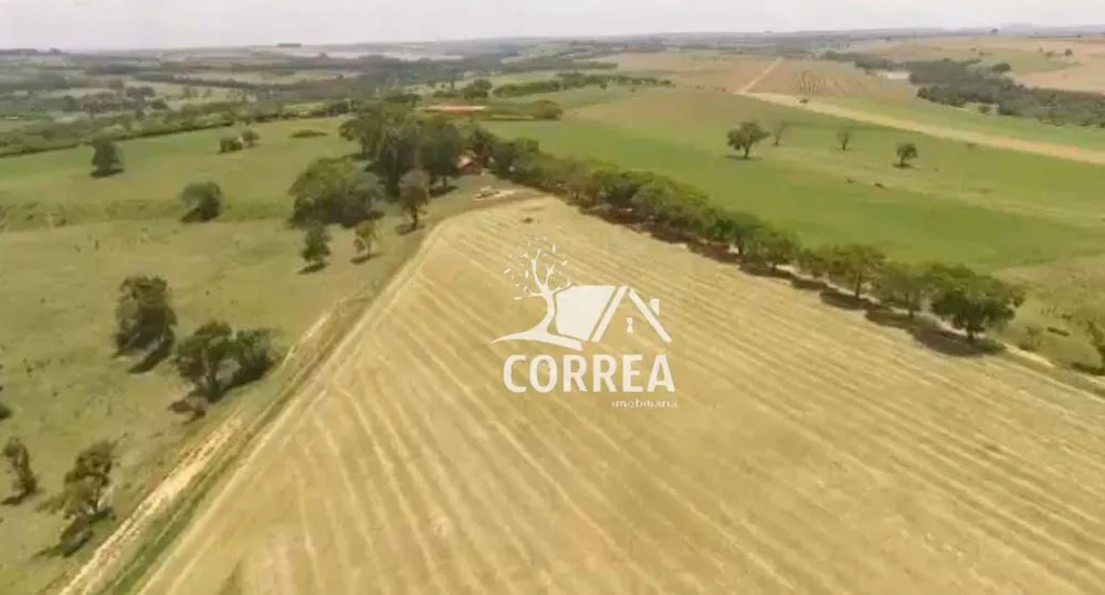 Fazenda, 264 hectares - Foto 1