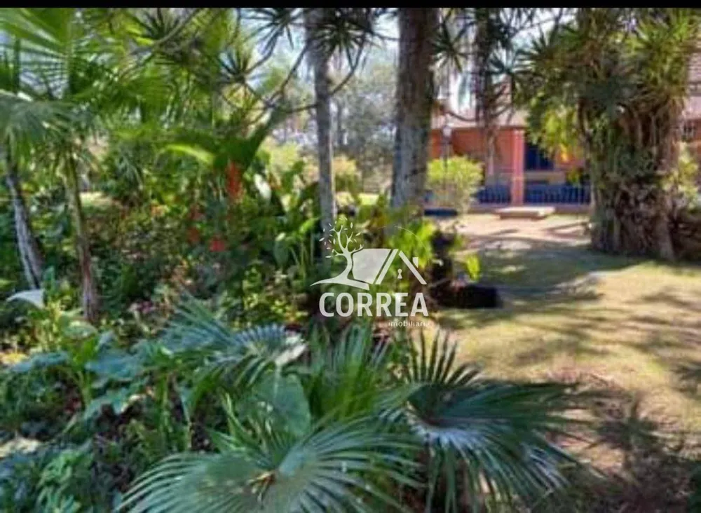 Fazenda, 373 hectares - Foto 4