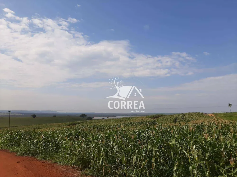 Fazenda, 194 hectares - Foto 4