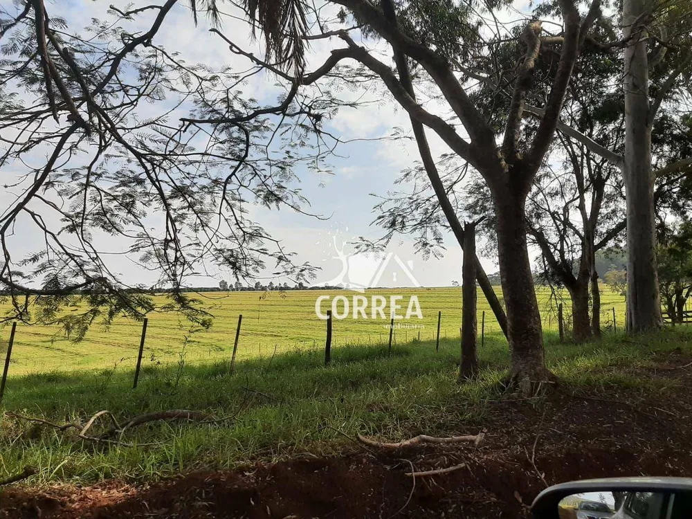 Fazenda, 194 hectares - Foto 2