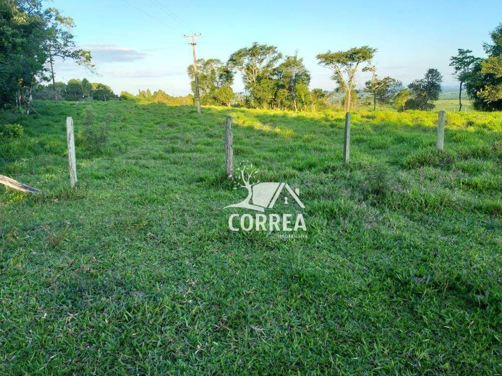 Sítio, 33 hectares - Foto 3