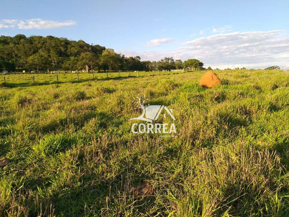 Sítio, 33 hectares - Foto 4