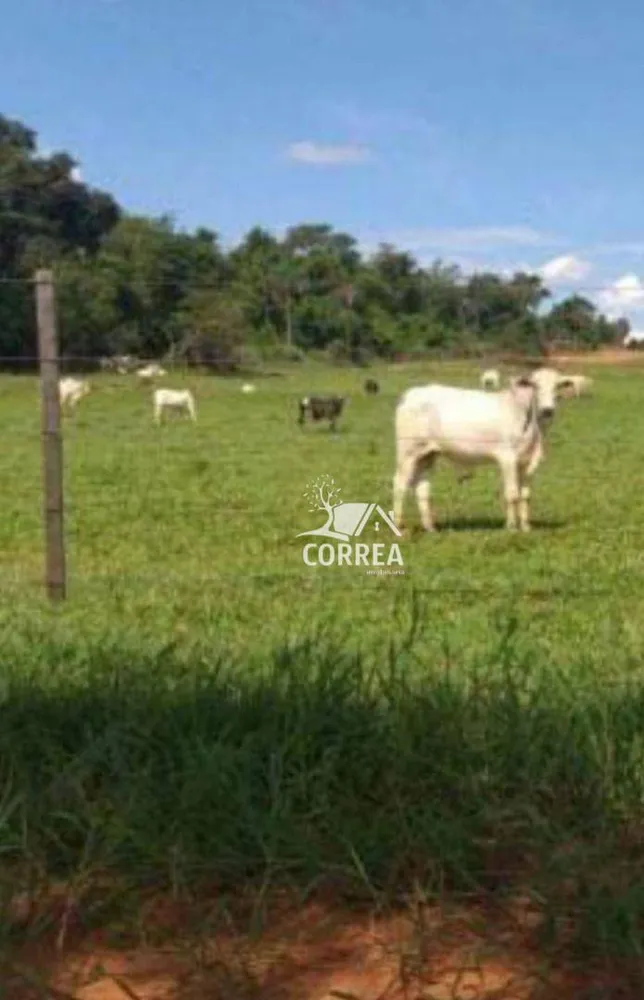 Fazenda, 987 hectares - Foto 1