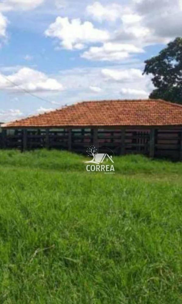 Fazenda, 987 hectares - Foto 3