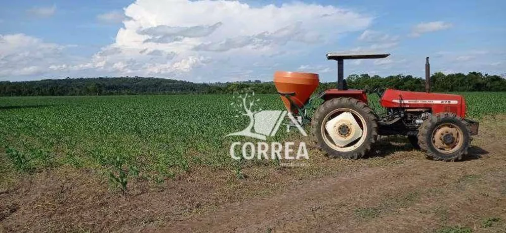 Fazenda, 375 hectares - Foto 1
