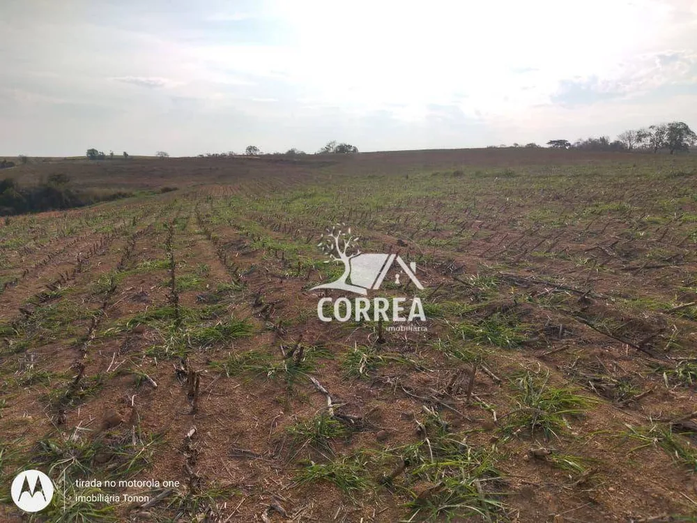 Fazenda, 67 hectares - Foto 3