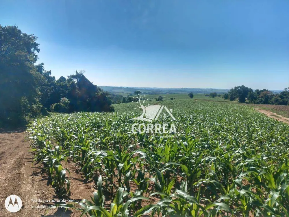 Fazenda, 67 hectares - Foto 4