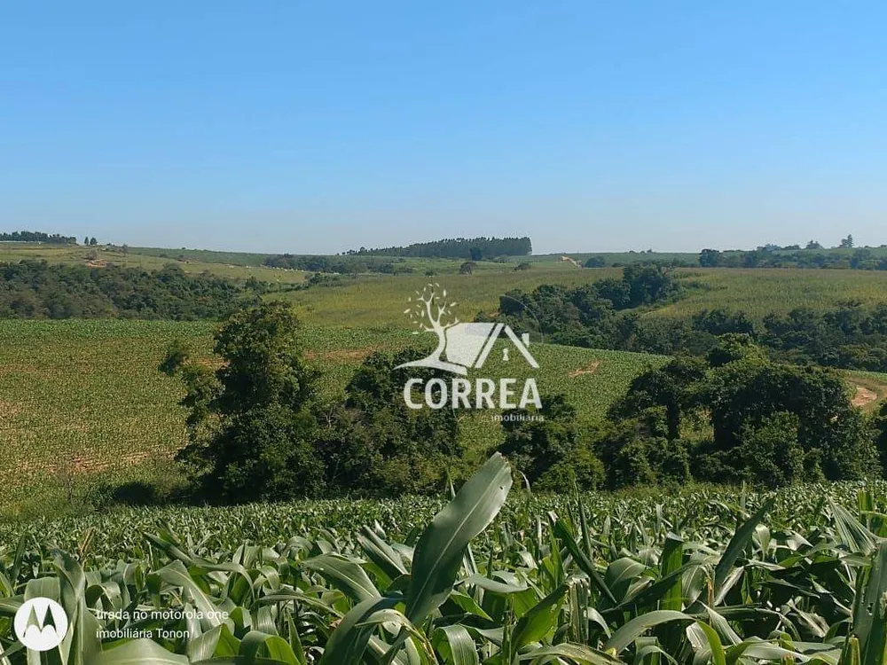 Fazenda, 67 hectares - Foto 1