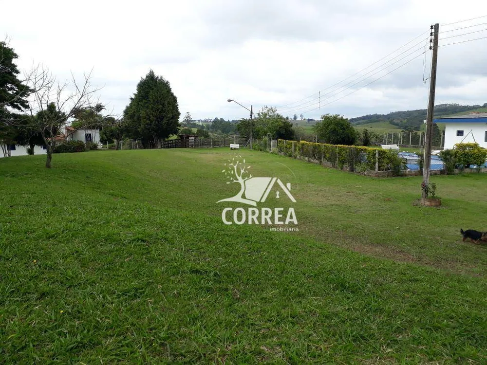 Sítio, 24 hectares - Foto 4