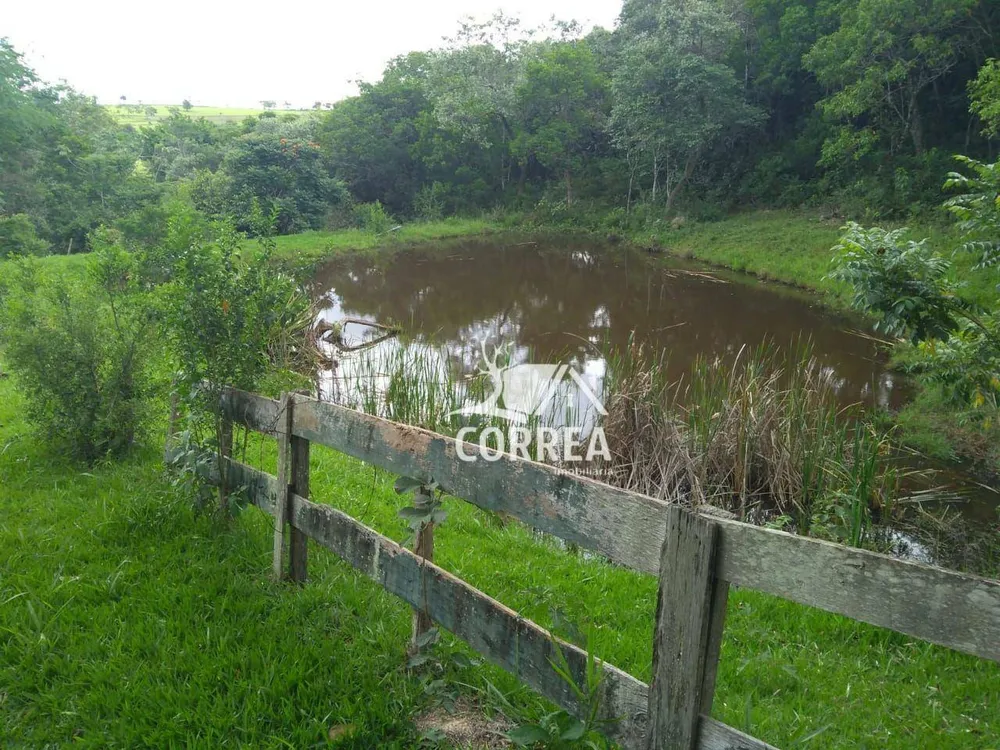 Sítio, 3 quartos, 3 hectares - Foto 4
