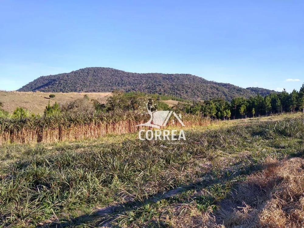 Fazenda, 690 hectares - Foto 1