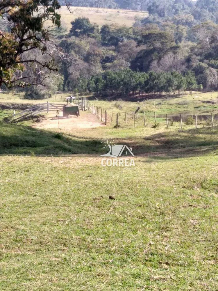 Fazenda, 690 hectares - Foto 3