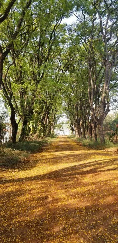 Chácara, 7 quartos, 2000 m² - Foto 4