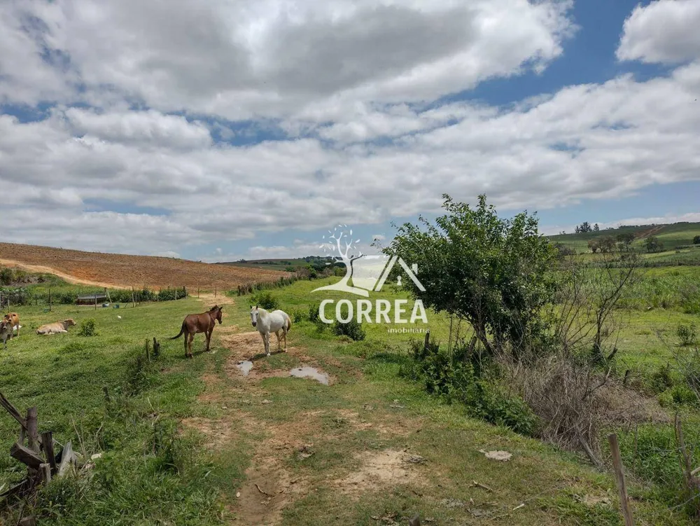 Terreno, 44 hectares - Foto 3