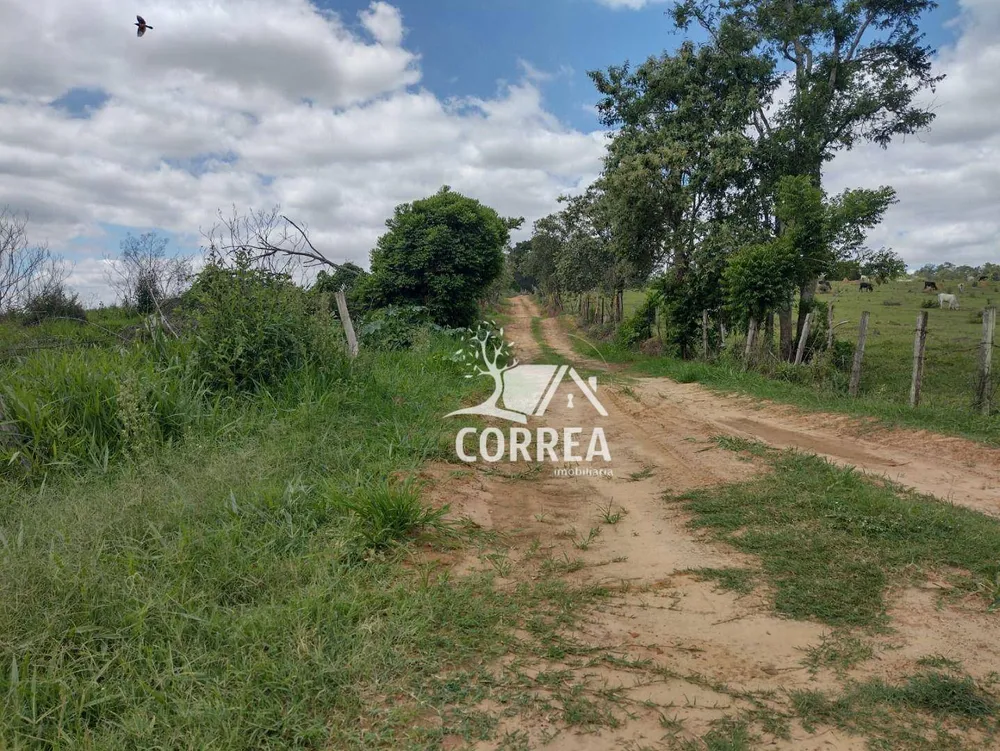 Terreno, 44 hectares - Foto 4