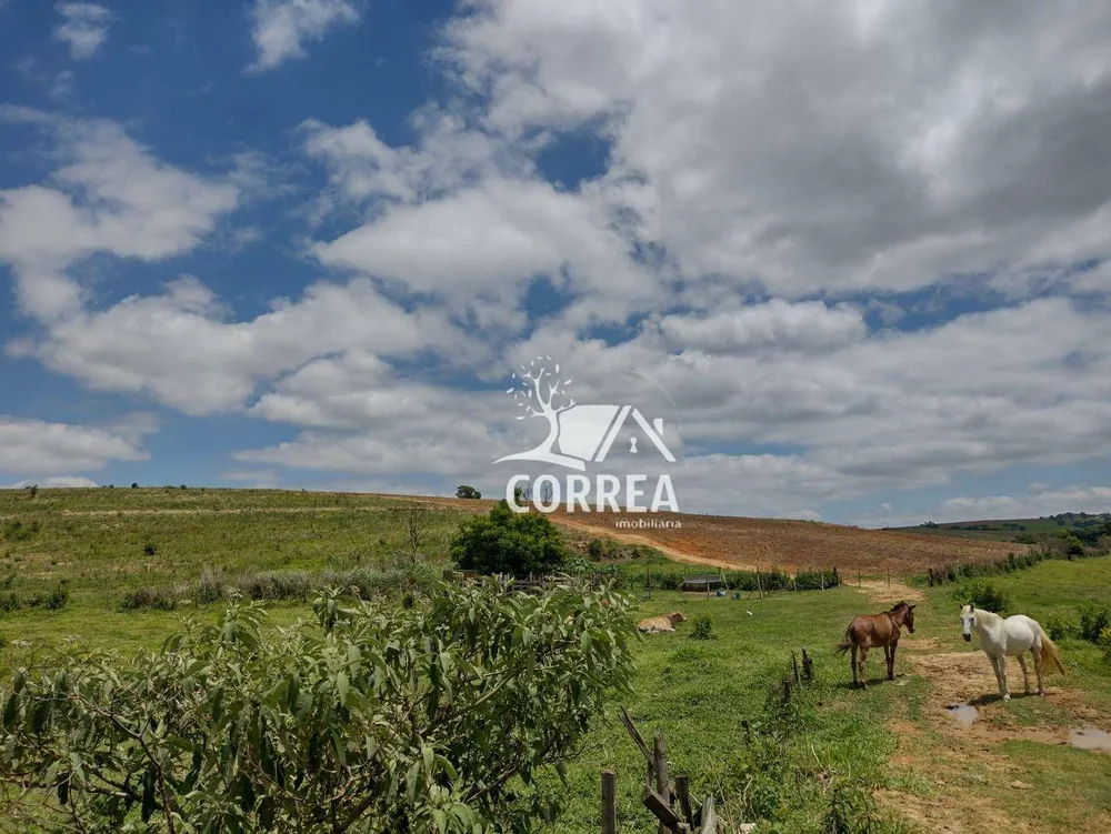 Terreno, 44 hectares - Foto 1