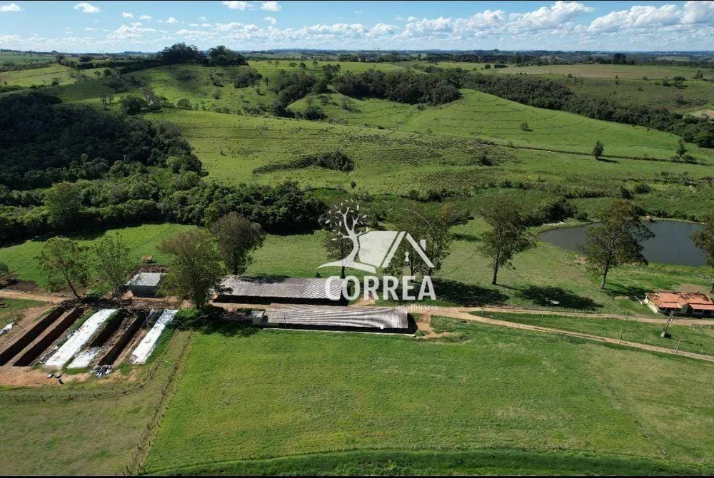 Fazenda, 322 hectares - Foto 4