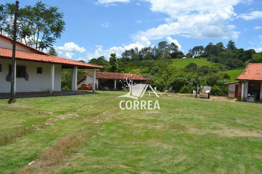 Fazenda, 387 hectares - Foto 3