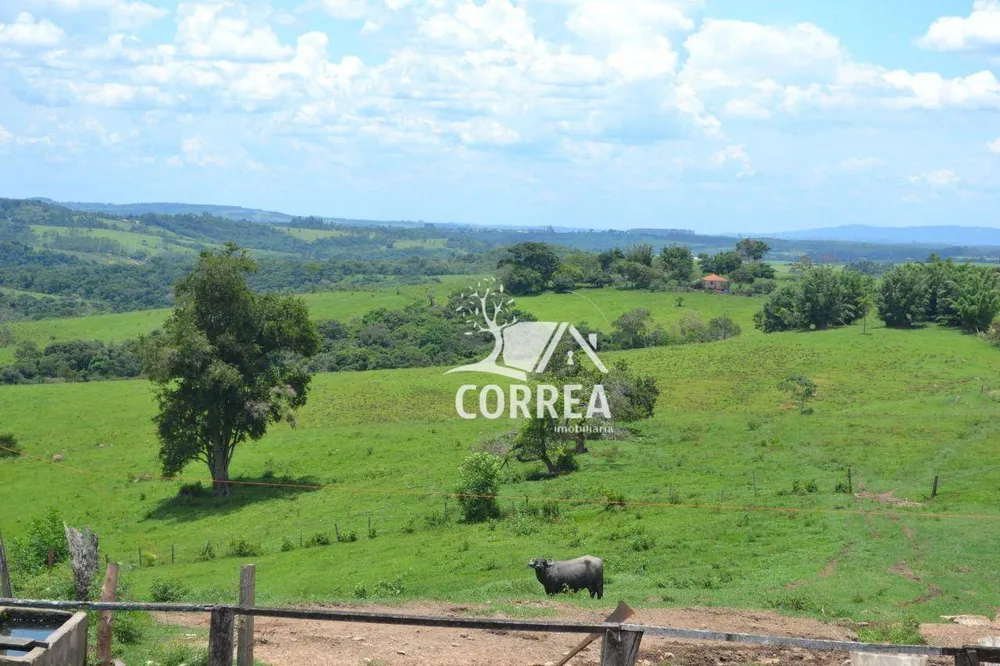 Fazenda, 387 hectares - Foto 2