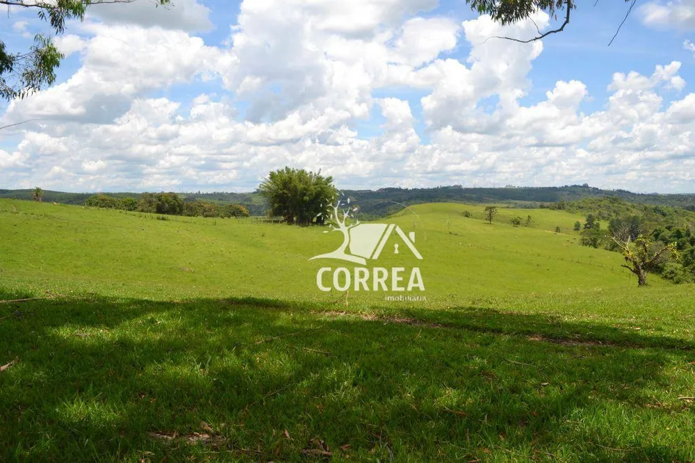 Fazenda, 387 hectares - Foto 4