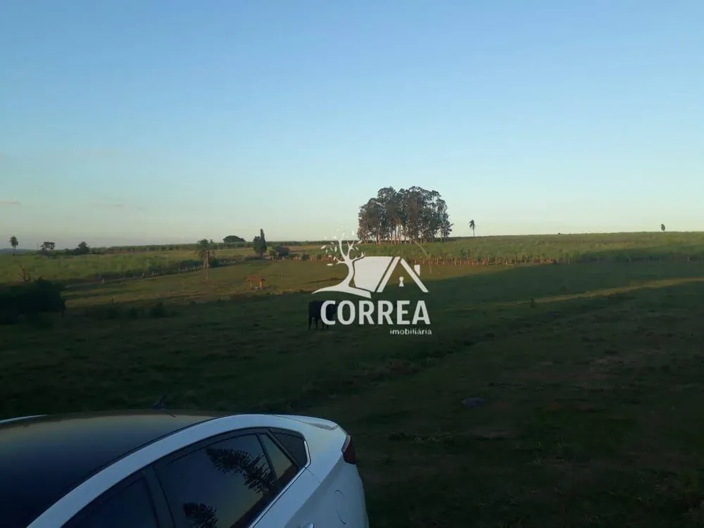 Fazenda, 167 hectares - Foto 1