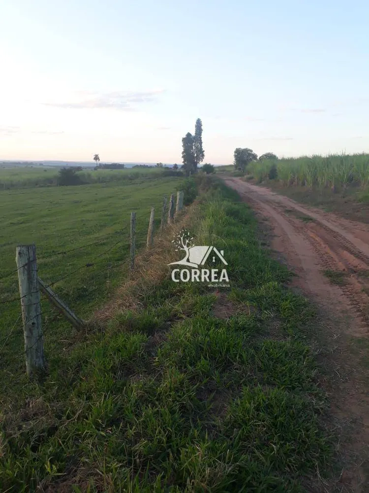 Fazenda, 167 hectares - Foto 2