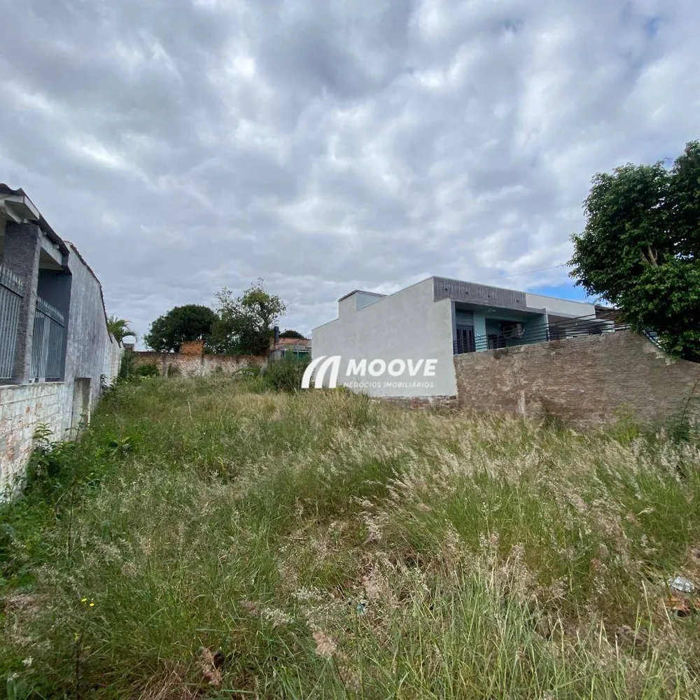 Terreno, 300 m² - Foto 3