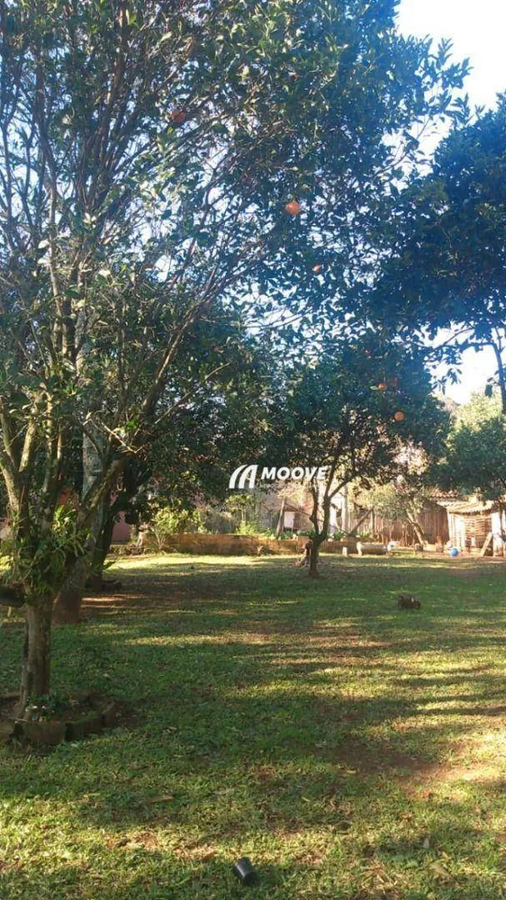Casa, 4 quartos, 320 m² - Foto 7