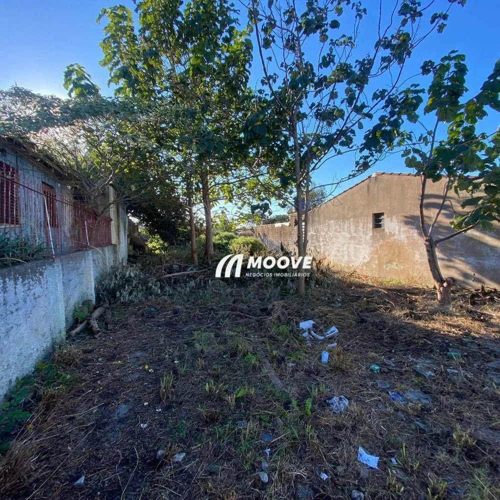 Terreno, 300 m² - Foto 9