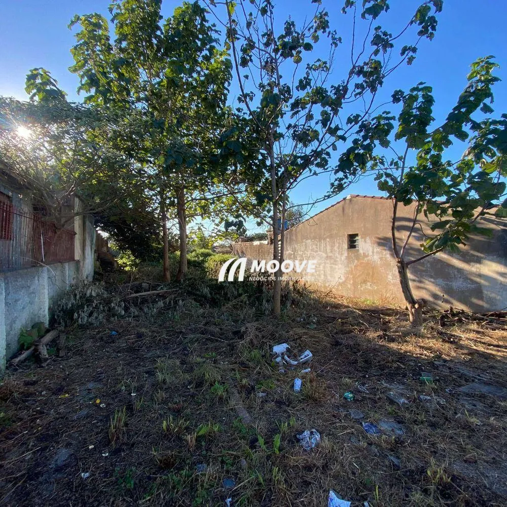 Terreno, 300 m² - Foto 7