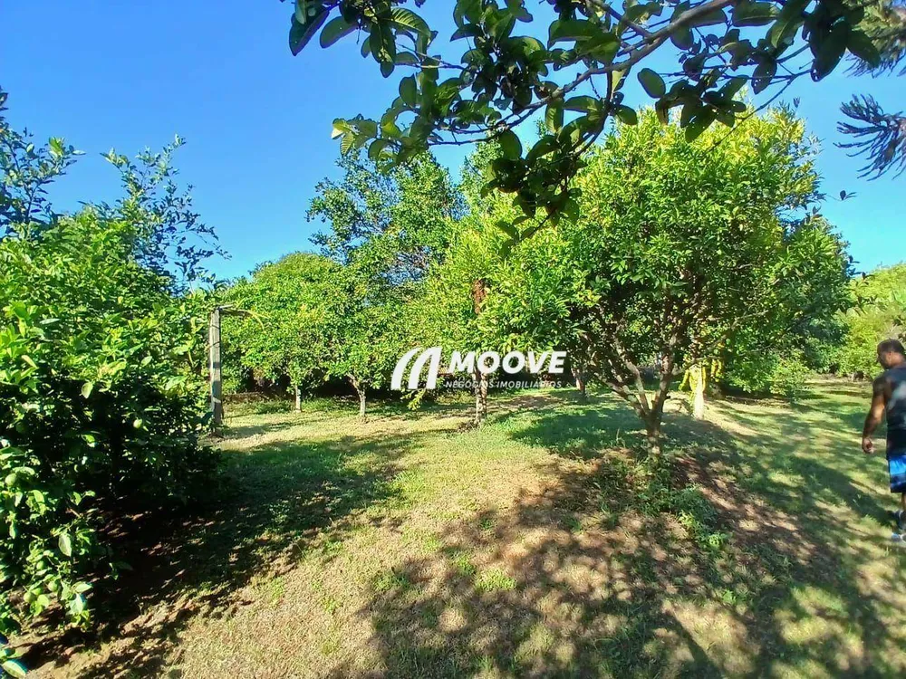 Casa, 3 quartos, 160 m² - Foto 5