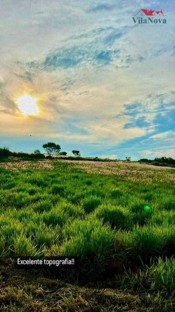 Terreno, 2 hectares - Foto 3