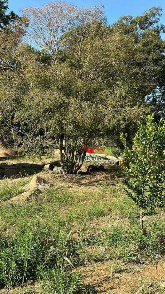 Chácara, 1000 m² - Foto 5