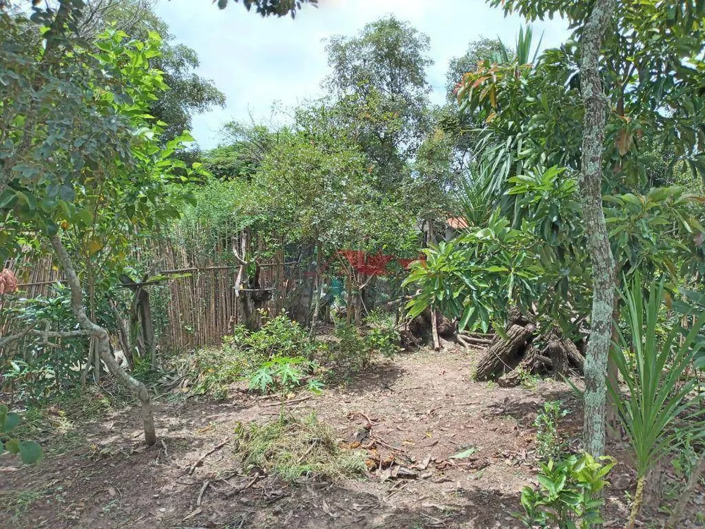 Chácara, 1000 m² - Foto 7