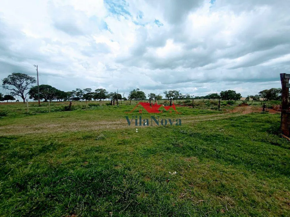 Sítio, 99 hectares - Foto 4