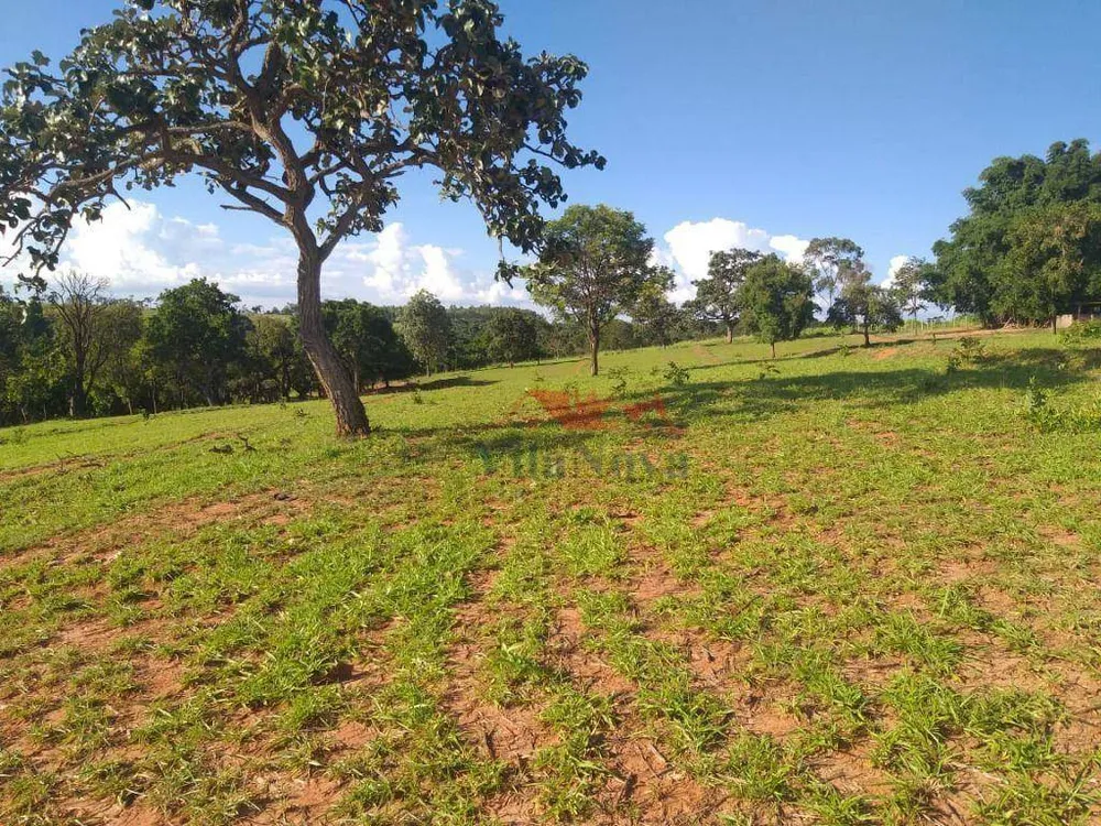 Sítio, 14 hectares - Foto 9