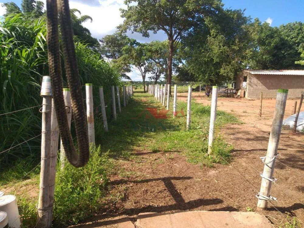 Sítio, 14 hectares - Foto 6