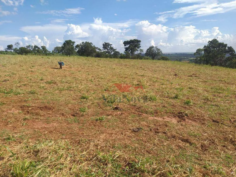 Sítio, 14 hectares - Foto 7
