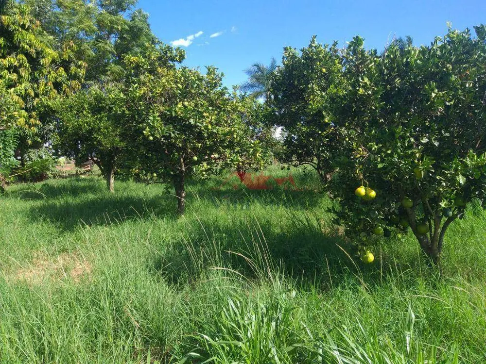 Sítio, 14 hectares - Foto 3
