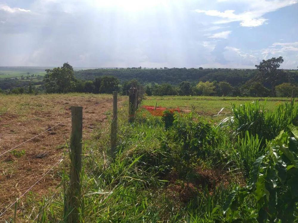 Sítio, 14 hectares - Foto 8
