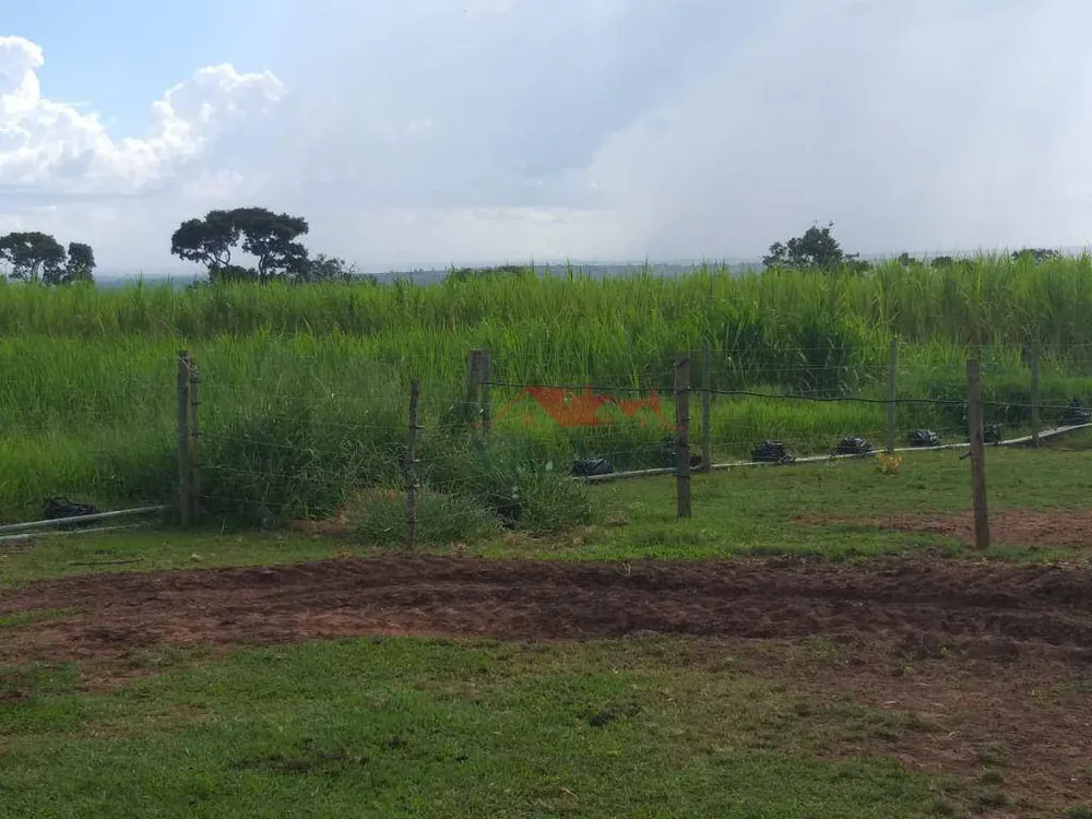 Sítio, 14 hectares - Foto 10
