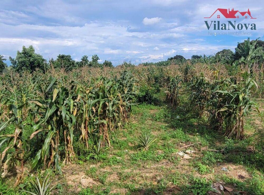 Sítio à venda com 2 quartos, 45000M2 - Foto 1