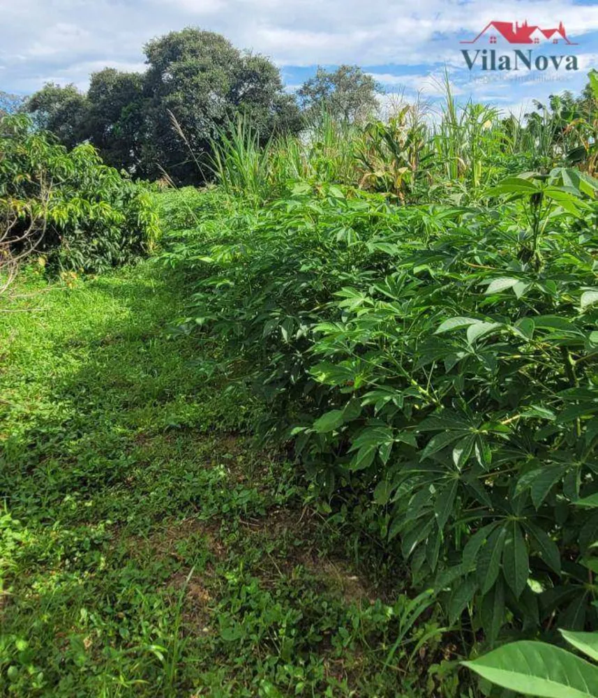 Sítio, 2 quartos, 5 hectares - Foto 4