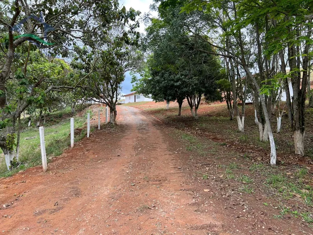 Fazenda à venda com 4 quartos, 154547m² - Foto 2