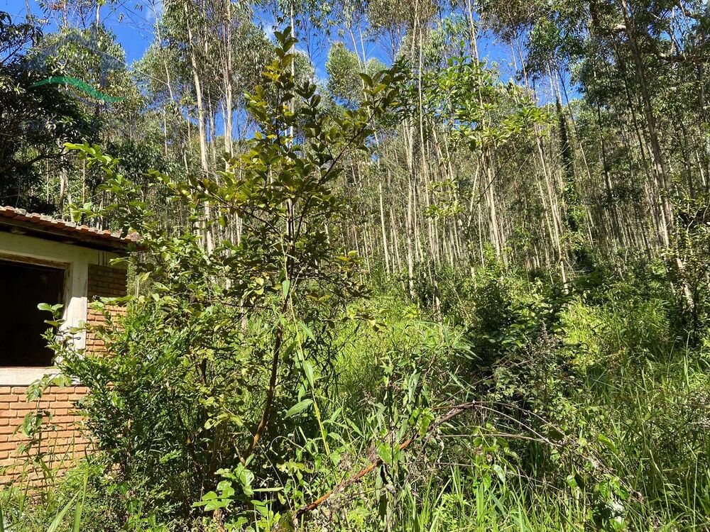 Terreno, 21 hectares - Foto 4