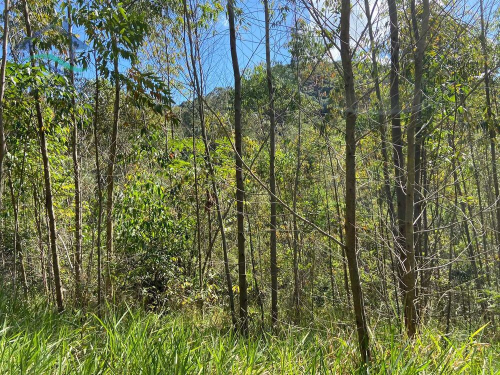 Terreno, 21 hectares - Foto 2