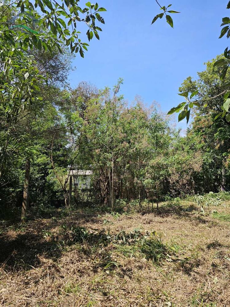 Terreno, 250 m² - Foto 5