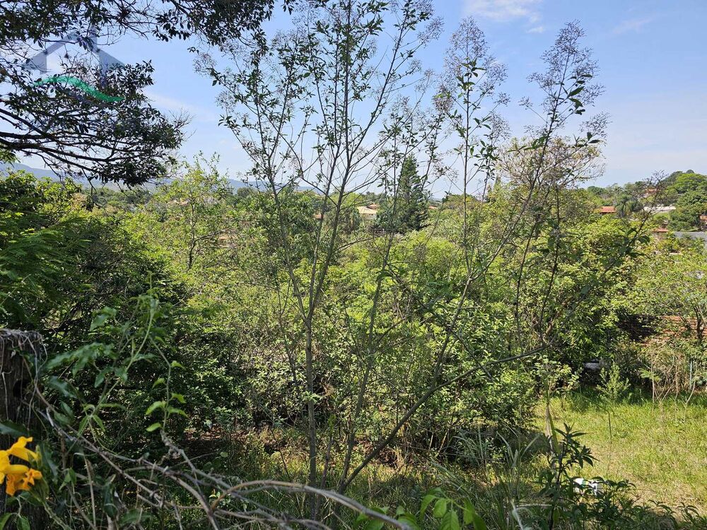 Terreno, 250 m² - Foto 11