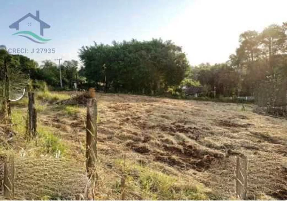 Terreno à venda, 3000m² - Foto 4