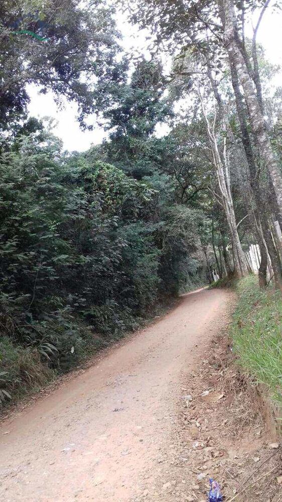 Terreno, 2 hectares - Foto 2